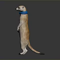 Meerkat Standing Upright Wearing Blue Bow Tie Light Brown And White Against Dark Background