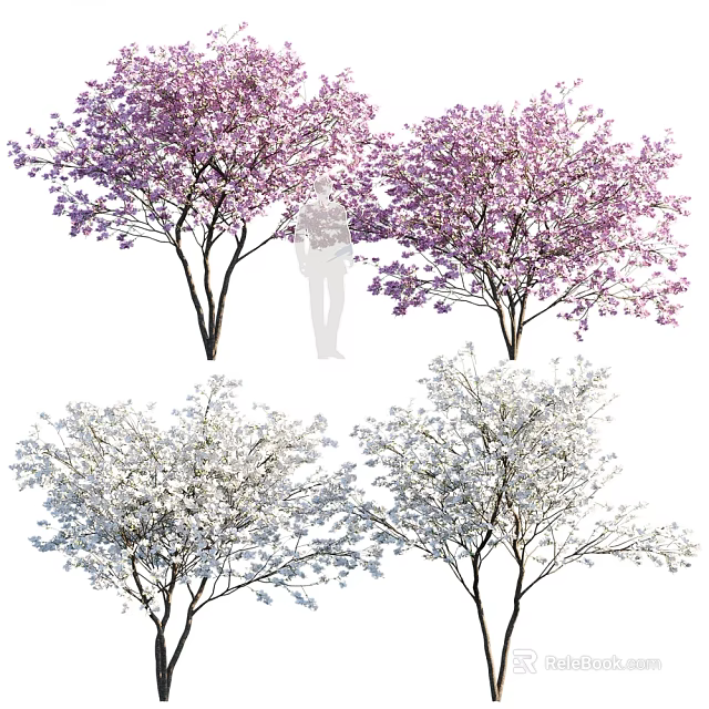 Pink and White Flowering Trees with Beautiful Blooming Blossoms in Spring Garden Landscape 3d model 