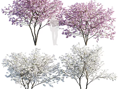 Pink and White Flowering Trees with Beautiful Blooming Blossoms in Spring Garden Landscape 3d model