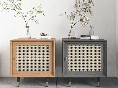 Stylish Light Wood and Dark Gray Bedside Tables with Rattan Panels Decorative Plants and Books 3d model