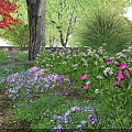 Vibrant Park Garden Landscape With Pink And White Flowers Lush Green Grass And Foliage