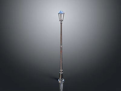 Outdoor Street Lamp With Blue Lampshade And Metal Pole Design 3d model