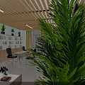 Public Office Space With Wooden Ceiling Green Sofa Office Desks And Black Chairs