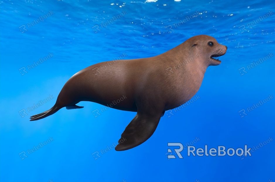 North Sea Lion North Pacific Sea Lion Sea Lion Sea Lion Sea Donkey Animal Sea Life model