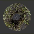 Natural Wooden Tree Stump With Green Moss And Fallen Leaves Base