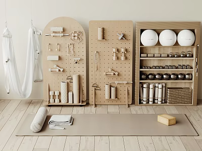 Fitness Equipment Collection with Yoga Hammocks Wall Storage Exercise Balls Dumbbells Yoga Mat and Wooden Block 3d model