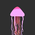 Vibrant Pink Jellyfish with Long Curly Tentacles on Black Background
