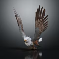 Majestic Eagle With Spread Wings White Head And Brown Feathers Standing On Dark Background With Reflection
