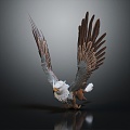 Modern Eagle Griffin 3d model