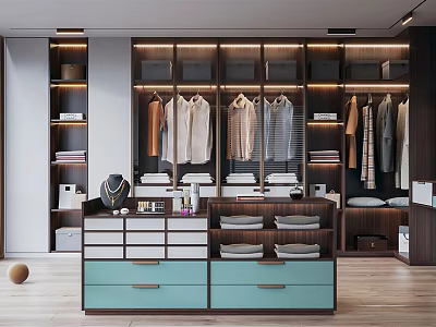 Modern Walk in Closet Interior Design With Hanging Clothes Storage Drawers And Shelves 3d model