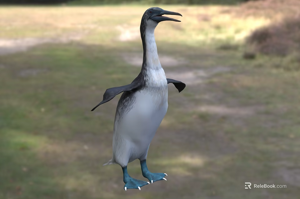 Flying Animal 3D Model Penguin Standing On Grassy Field With Blurred Background 3d model 