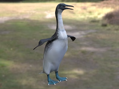 Flying Animal 3D Model Penguin Standing On Grassy Field With Blurred Background 3d model