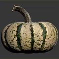 Fresh Ripe Small Round Pumpkin With Green And White Stripes On Dark Background