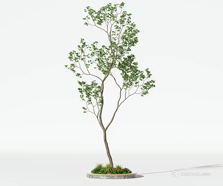 Arbor With Green Leaves Branches Trunk And Small Grass On White Background 3d model 