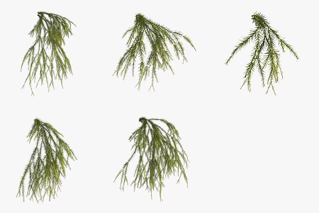 rough stone pine flowers and green plants 3d model