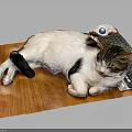 Relaxed Cat Lying On Wooden Mat With Computer Keyboard And Mouse 3d model