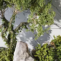 Lush Indoor Landscape With Green Tree Rocks Bushes And White Decorative Balls