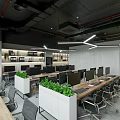 Modern Office Workspace With Long Desks Computers Green Plants And Bookshelves