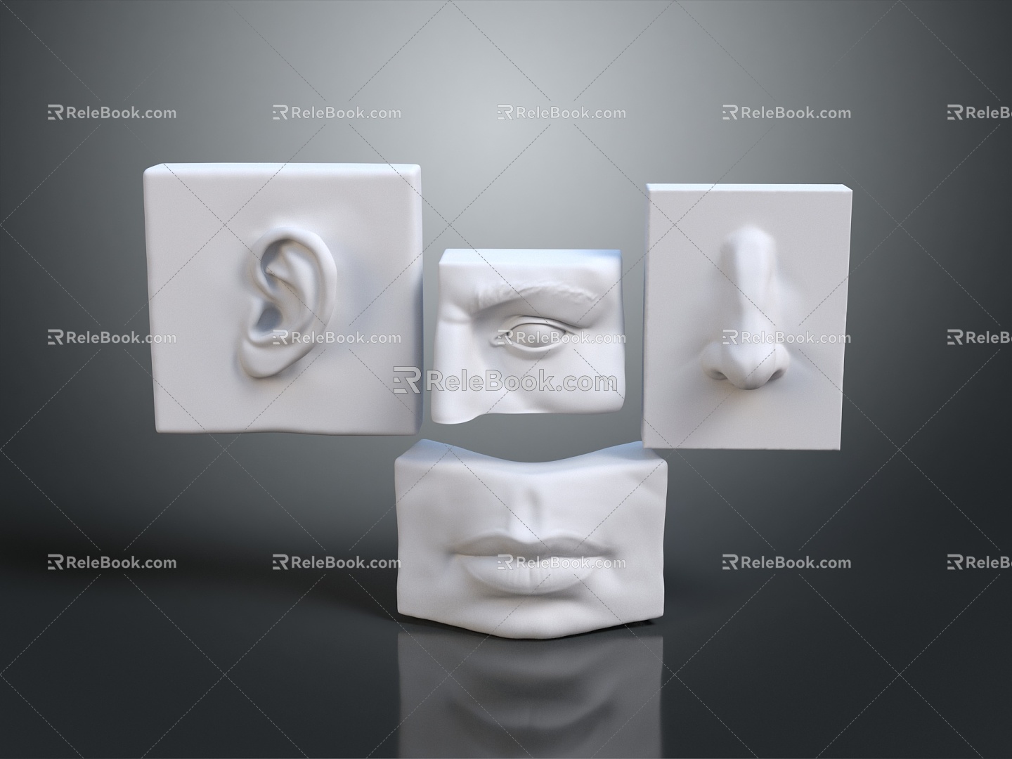 Modern Medical Equipment Head Anatomy Ears Mouth Eyes 3d model