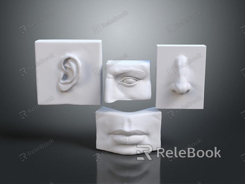 Modern Medical Equipment Head Anatomy Ears Mouth Eyes model