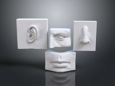 Medical Instruments Anatomical Models For Human Sensory Organs Ear Eye Nose Mouth Educational Training 3d model