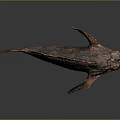 Spotted Brown Fish With Rough Textured Skin And Fins On Dark Reflective Surface