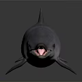 Gray Dolphin With Open Mouth And Shiny Surface On White Background 3d model