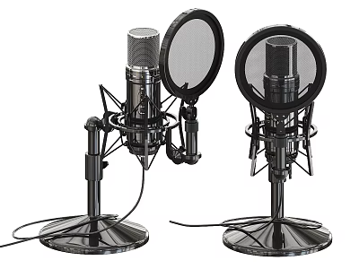 Professional Studio Microphones With Pop Filters On Adjustable Stands For Recording 3d model