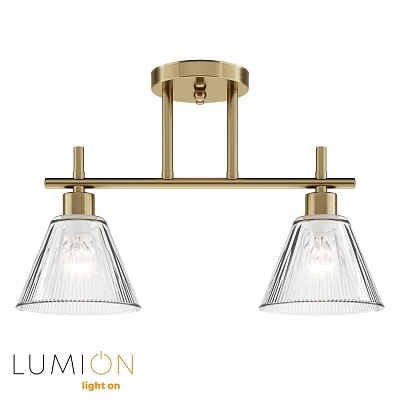 Brass Ceiling Light with Double Glass Shades Modern Design Elegant Transparent Lampshade Fixture 3d model