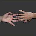 Two Hands Reaching Towards Each Other On Gray Background With Reflection 3d model