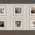 Framed Elephant Wall Art Collection Displayed On White Wall With Various Styles