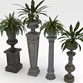 Green Ornamental Plants in Decorative Pots with Various Heights and Designs
