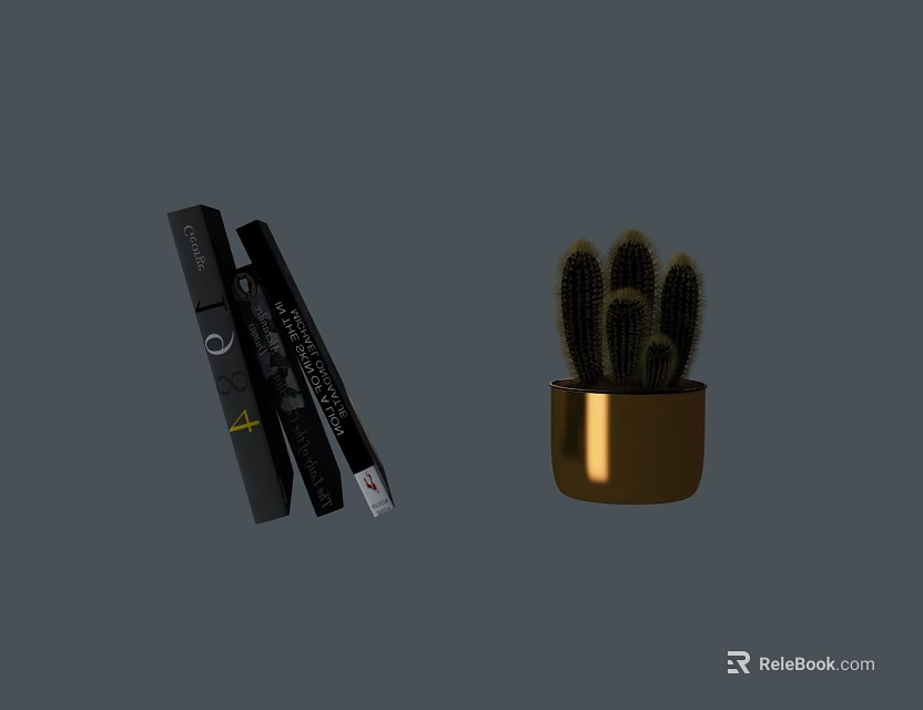 Modern Black Swing Door Design With Decorative Books And Gold Cactus Pot 3d model 
