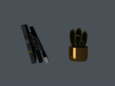 Modern Black Swing Door Design With Decorative Books And Gold Cactus Pot 3d model