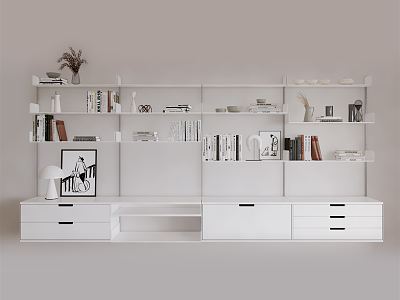 Modern bookcase combination cabinet model