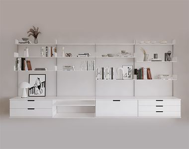 Modern bookcase combination cabinet 3d model