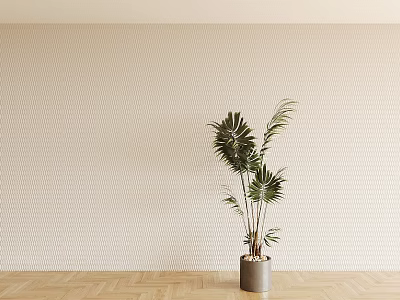 Green Leafy Potted Plant Standing On Wooden Floor Against Light Grid Wall 3d model