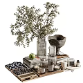 Elegant Decorative Ornament Set with Glass Vase Green Plant Books Candles Blueberries and Apple