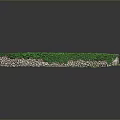 Lush Green Flower Plants With Stone Base In Garden Landscape Design