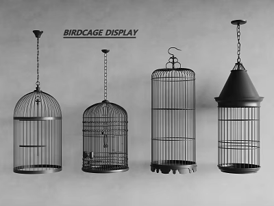 Birdcage Decorative Ornament Set with Various Sizes and Hanging Designs for Home 3d model