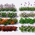 Diverse Colorful Flowers And Green Plants With Purple White Orange Blooms