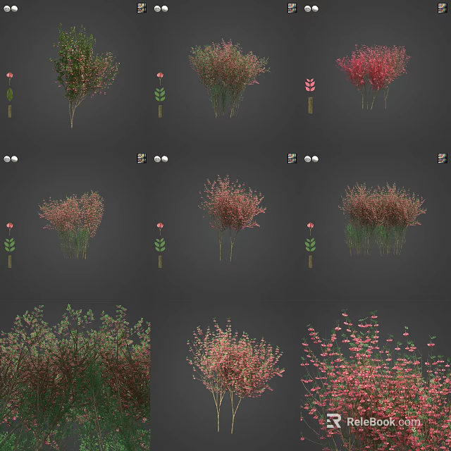Various Types of Plants with Different Colored Leaves and Flowers 3d model 