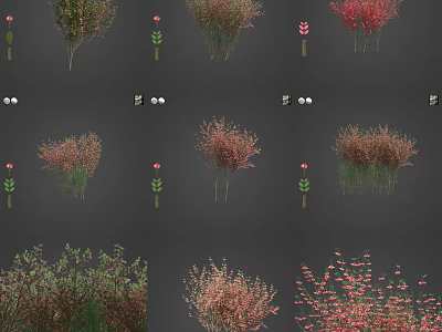Various Types of Plants with Different Colored Leaves and Flowers 3d model