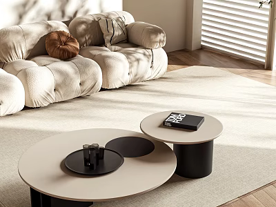Modern Living Room With Round Beige And Black Coffee Table Sofa And Rug 3d model