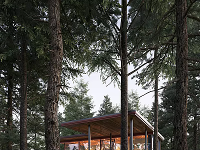 Modern Detached Villa In Forest Surrounded By Tall Trees With Contemporary Structure 3d model