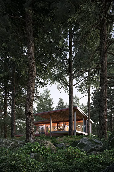 Modern Detached Villa In Forest Surrounded By Tall Trees With Contemporary Structure 3d model