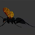 Vibrant Insect With Yellow Orange Wings Black Body And Blue Head Detailed Features