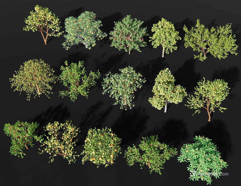 Diverse Arbor Trees Collection with Various Foliage Shapes and Sizes 3d model