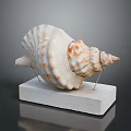 Marine Conch Animal Shell Displayed On White Base With Textured Surface And Natural Patterns 3d model