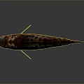 Vibrant Red And Black Spotted Aquatic Fish With Detailed Scales And Shiny Body